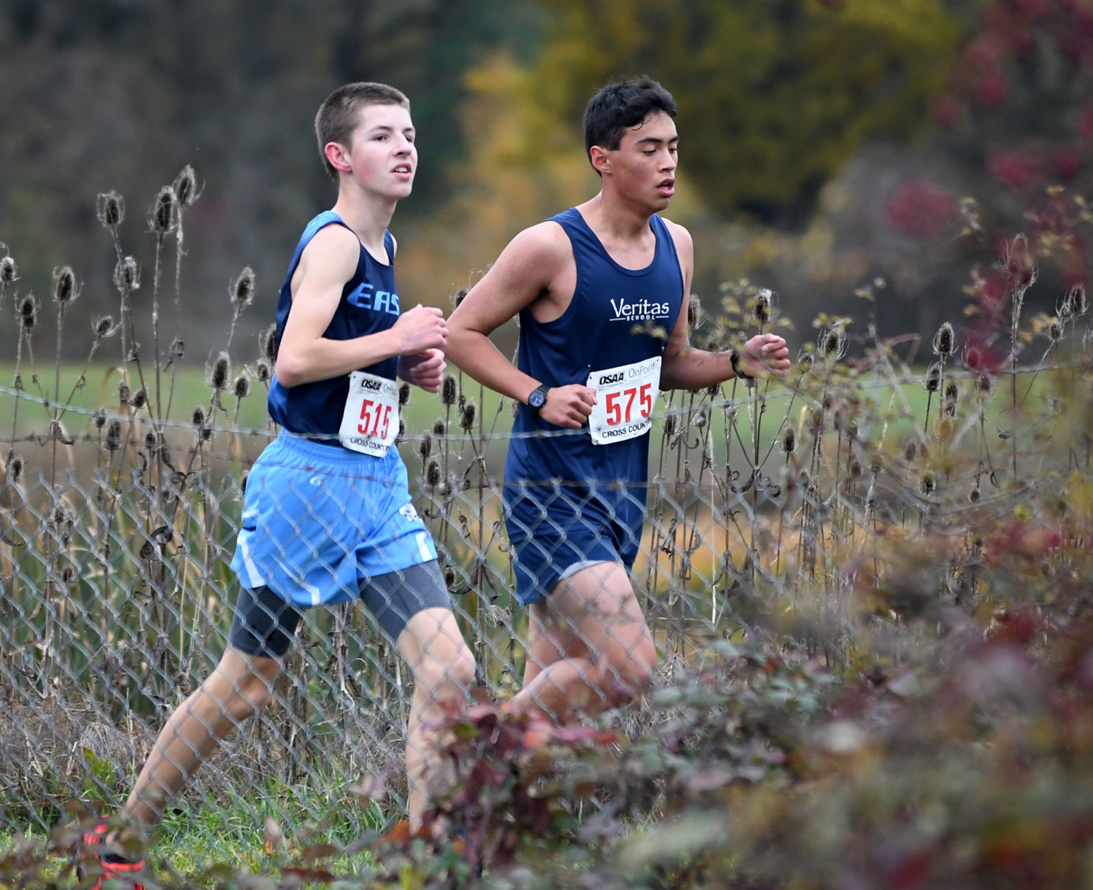 11-10-2019 1A2A Boys Cross Country 05.jpg